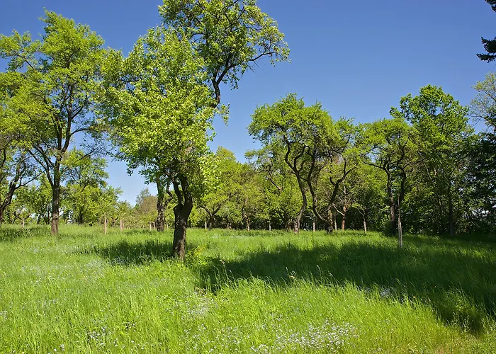 Zamek - & فندق Ratmerice